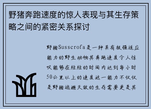 野猪奔跑速度的惊人表现与其生存策略之间的紧密关系探讨